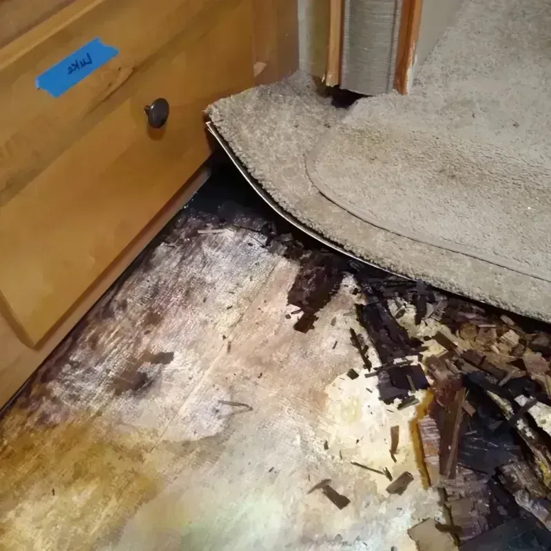 Best Wood Floor Water Damage Service in Gordo, AL